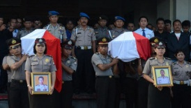 tkp-palu1