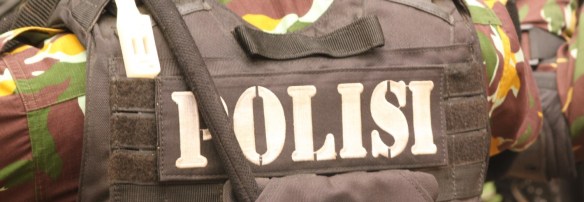 cropped-cropped-img_0271.jpg