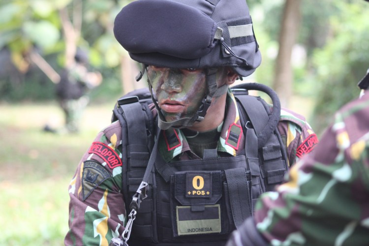 MENYERANG DAN MENGHILANG