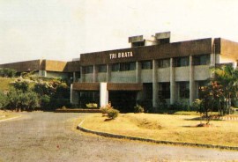 gd tribrata