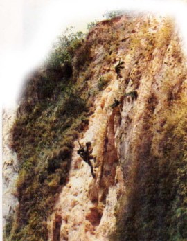panjat tebing